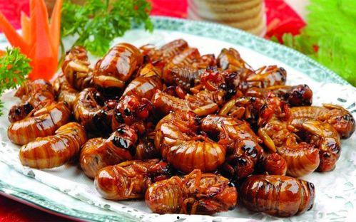 最新新康饭菜爆料图片大全,揭秘最新爆料图片大全，美味与视觉盛宴同在！”